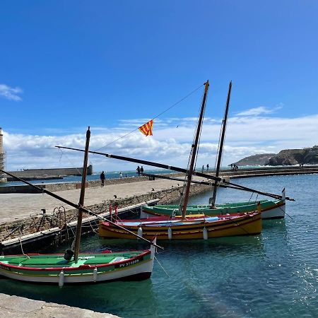 Charmant T2 Duplex Climatise Avec Terrasse, A Deux Pas De La Plage Du Port D'Avall, Collioure - Fr-1-309-233 Διαμέρισμα Εξωτερικό φωτογραφία