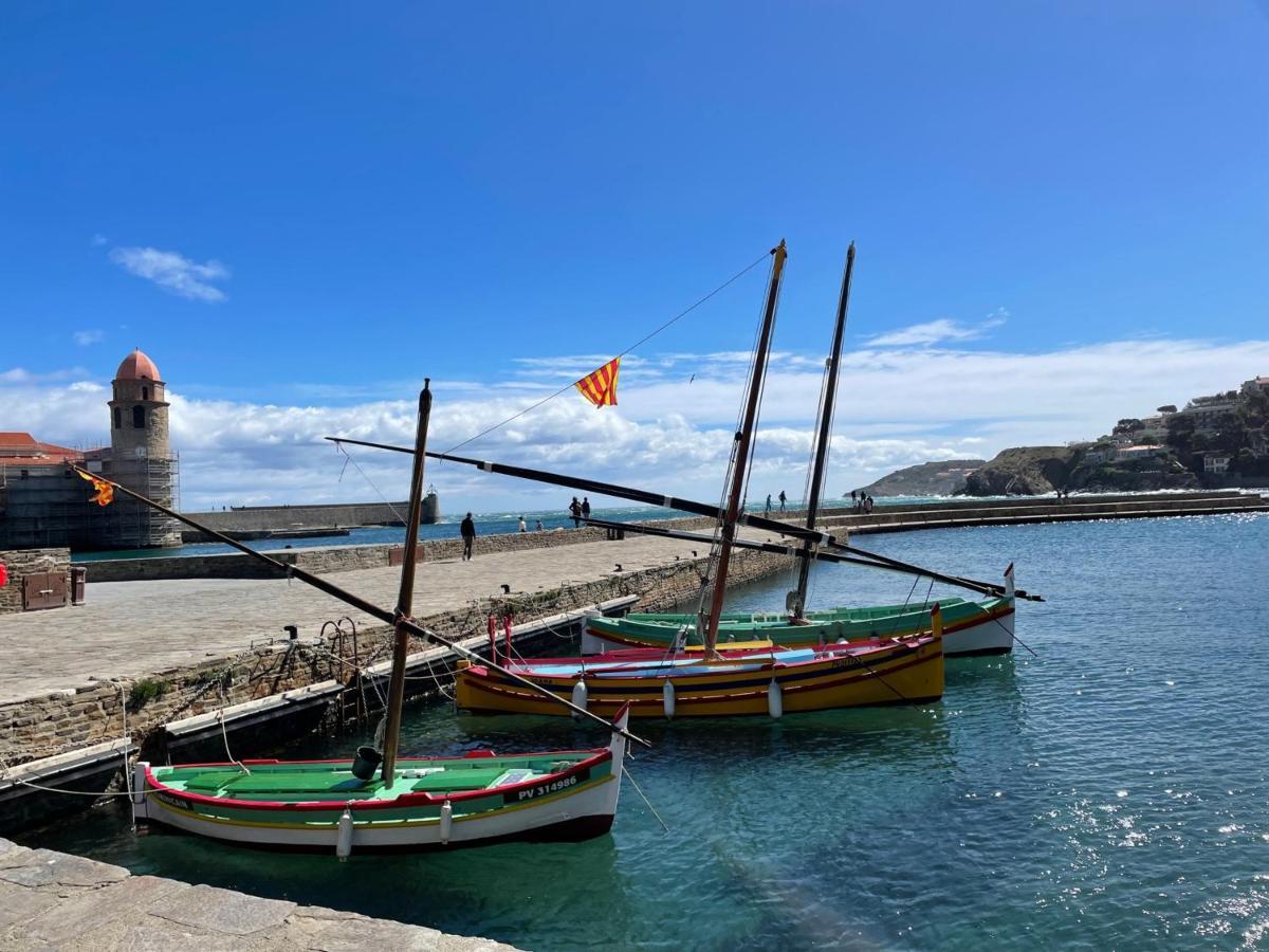 Charmant T2 Duplex Climatise Avec Terrasse, A Deux Pas De La Plage Du Port D'Avall, Collioure - Fr-1-309-233 Διαμέρισμα Εξωτερικό φωτογραφία